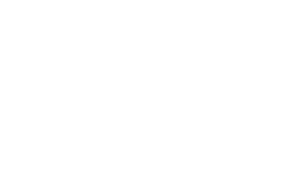 vts